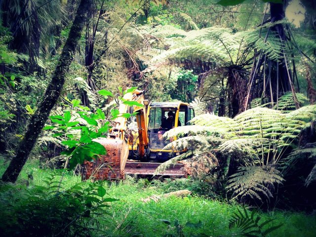 Landscaping Project Manager. Te Arai Estate. NZ