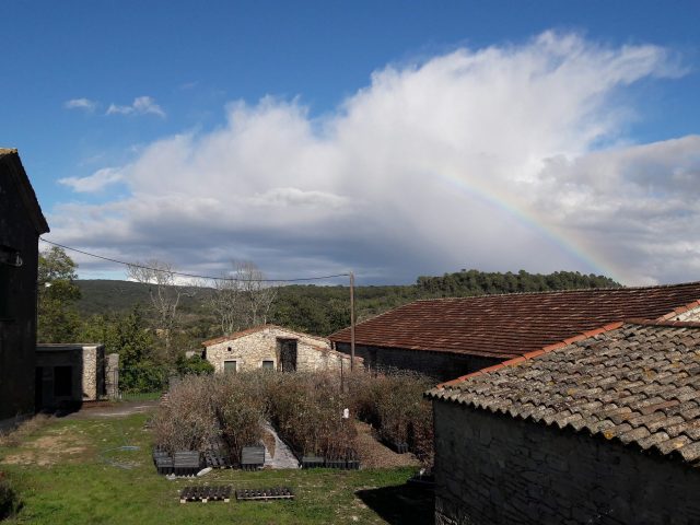 Truffle Farm Manager. Les Jasses. France.
